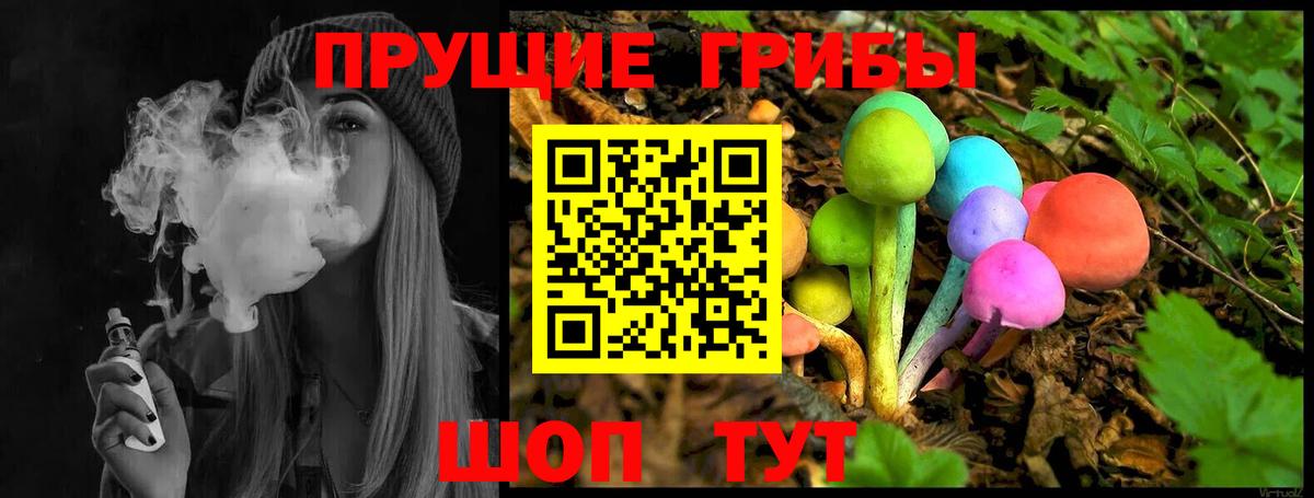 Галлюциногенные грибы Psilocybine cubensis Отрадное
